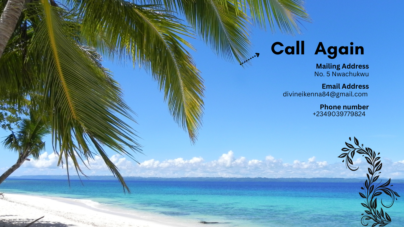 Ikenna's hotel website img